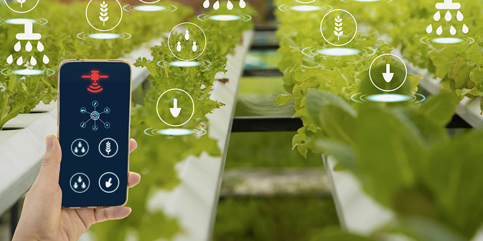 Contributing towards sustainable food production
