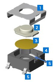 3D Models: B3FS