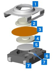 3D Models: B3SN