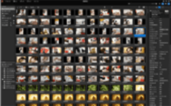 Photo management software
