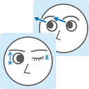 Gaze/Blink estimation
