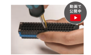 動画で公開中