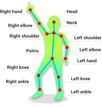 General Specifications：skeleton point