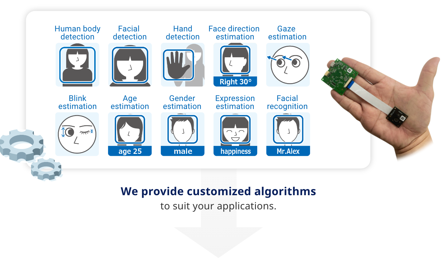 Human body detection, Facial detection, Hand detection, Face direction estimation, Gaze estimation, Blink estimation, Age estimation, Gender estimation, Expression estimation, Facial recognition We provide customized algorithms to suit your applications.
