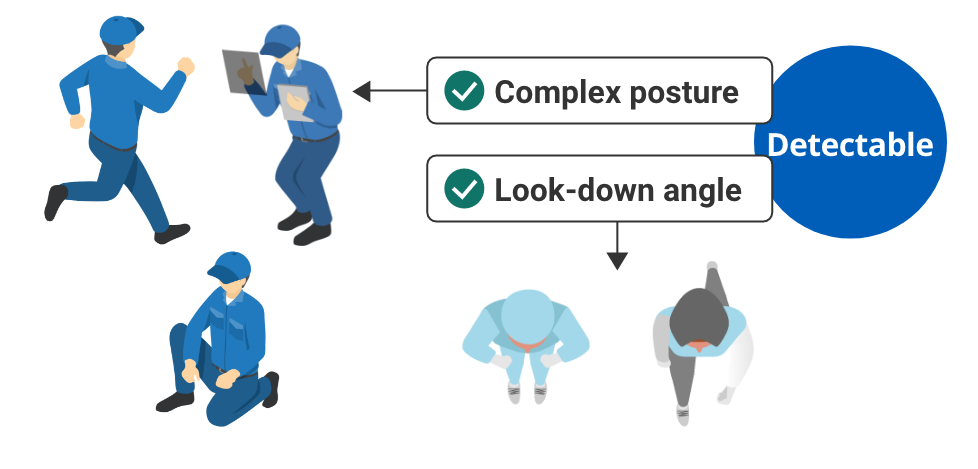 Complex posture, Look-down angle, Detectable